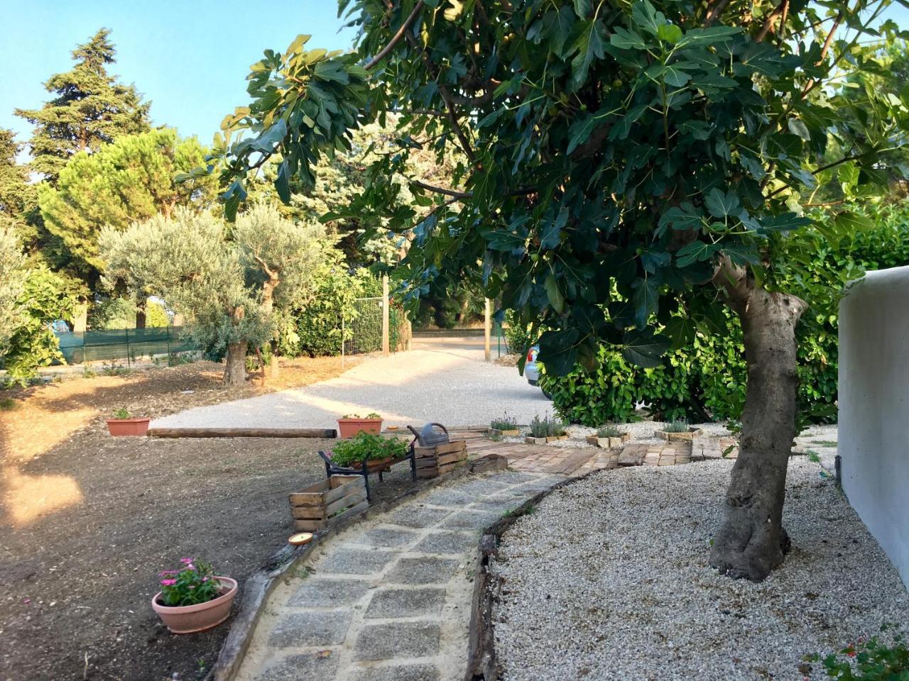 C'Era Una Volta Podere San Giovanni Fossacesia Dış mekan fotoğraf