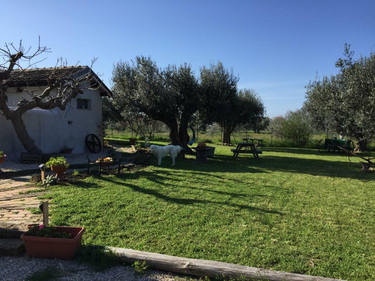 C'Era Una Volta Podere San Giovanni Fossacesia Dış mekan fotoğraf