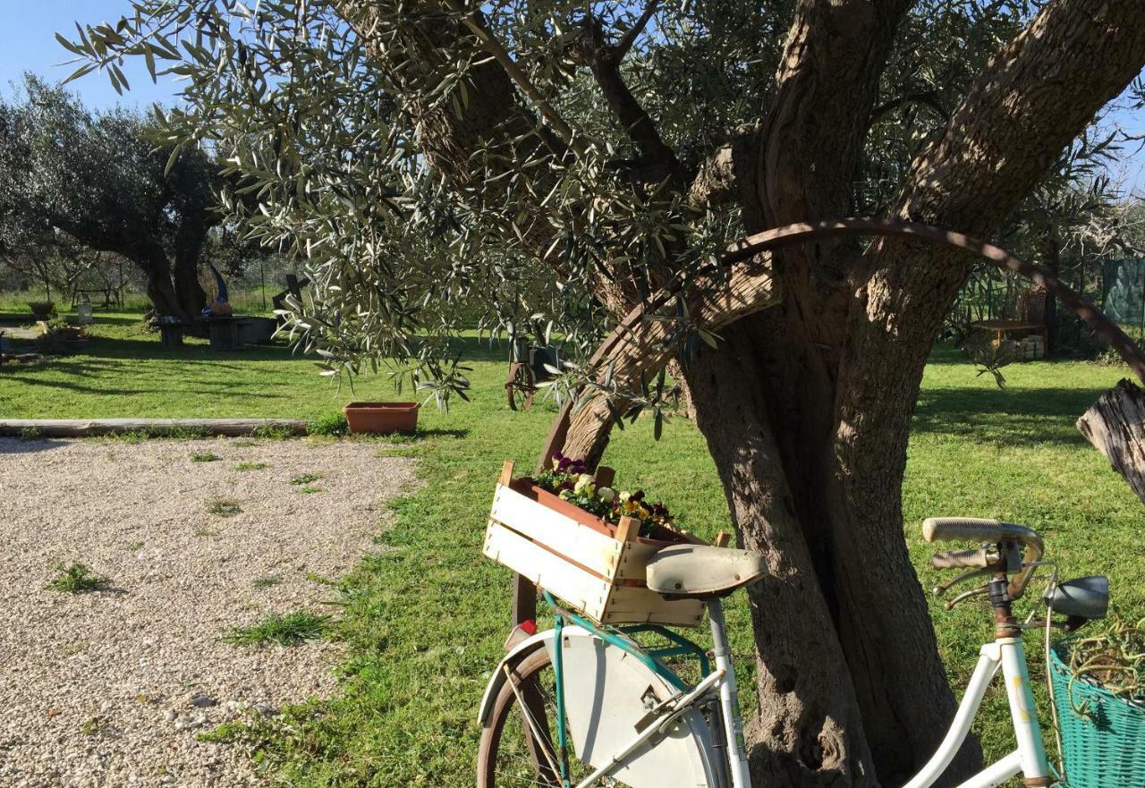 C'Era Una Volta Podere San Giovanni Fossacesia Dış mekan fotoğraf